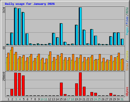 Daily usage for January 2026