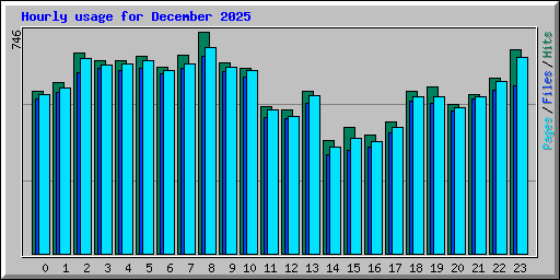 Hourly usage for December 2025