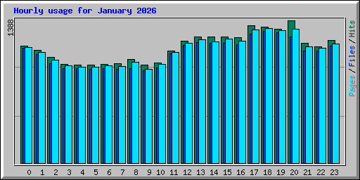 Hourly usage for January 2026